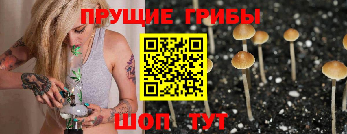 Галлюциногенные грибы мицелий Ялта